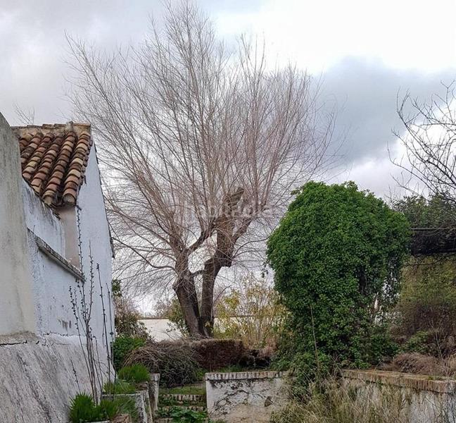 Foto eb59b3f8-5100-424f-b3db-991f3dd3ee6d. Terreno residenziale in La Zubia Ciudad Zubia (La)