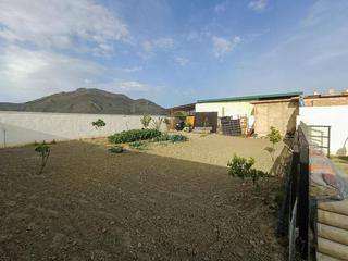 Mas à Pinos Puente. Finca rústica