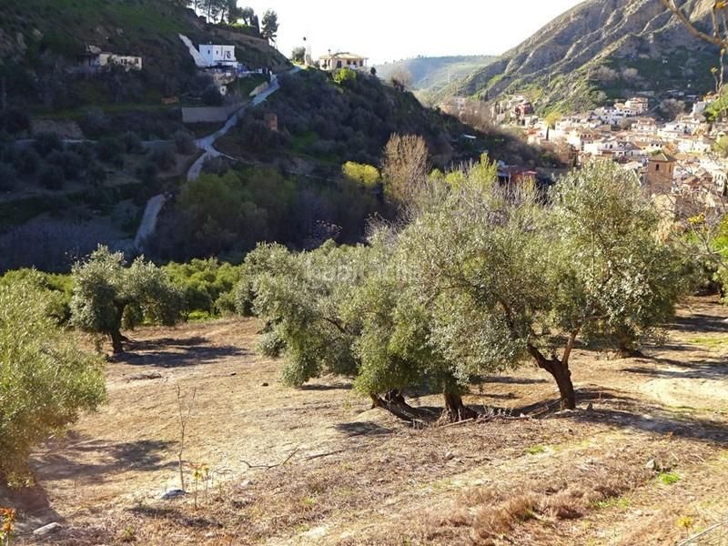 Foto b4d8996d-1898-446a-b3dc-b94f5268267c. Masia a Monachil pueblo Monachil