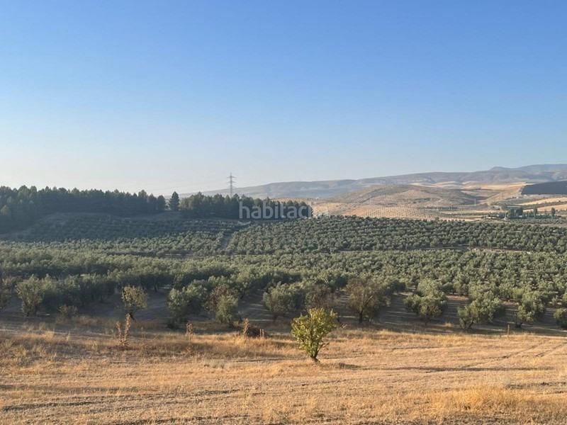 Foto 9819d462-0824-4f75-8bcb-a04ae2842cf4. Masia a Malahá (La)
