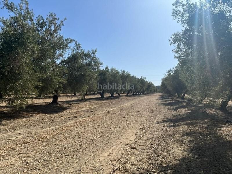 Foto faa44bb2-f239-4d15-af96-ee2ff5801cf3. Masia a Malahá (La)