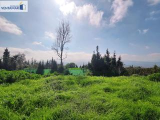 Terreno residencial en Barrios (Los). Gran parcela rustica en cerro marcelo, los barrios cdiz