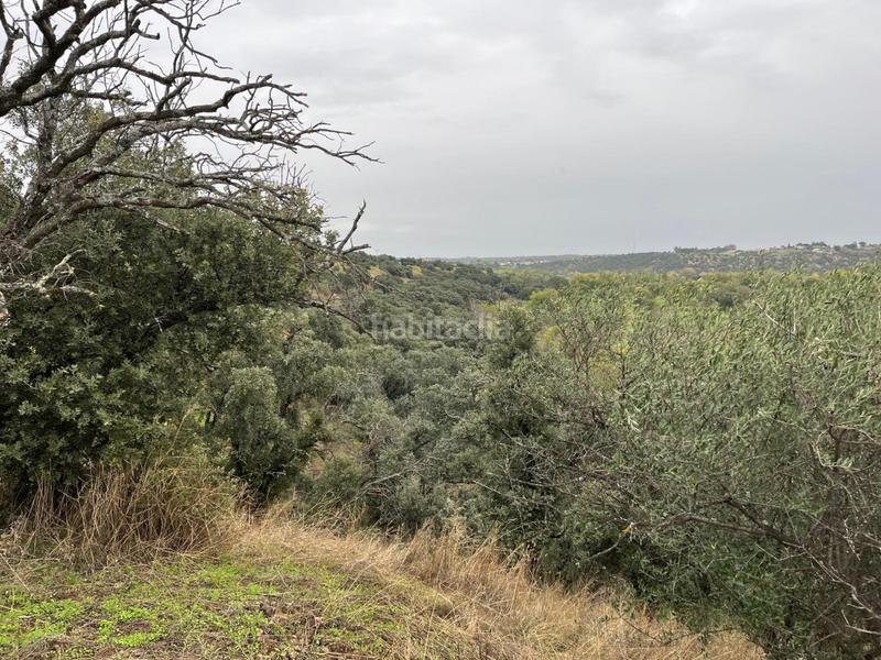 Foto 34a8f6b2-5af3-4d37-a14a-e69fe9e56e45. Masía finca rústica de 42 hectáreas mn3rm5923 en Aldea del Fresno