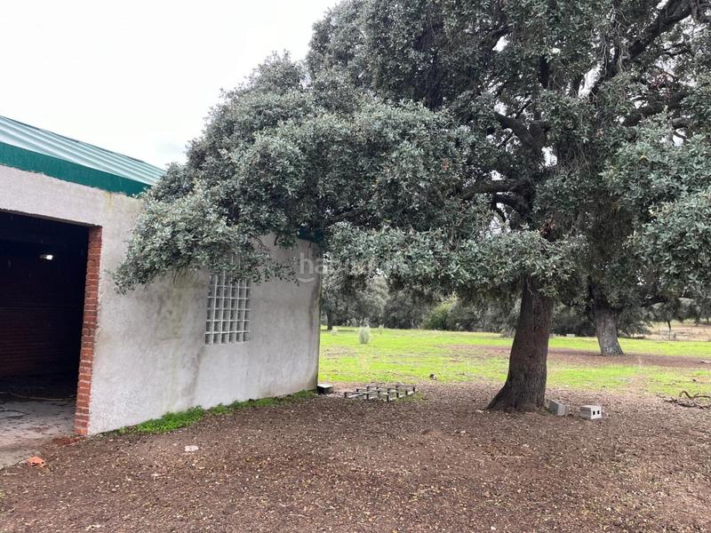 Foto 3a4086fc-79cb-477c-837a-6b8751d2e444. Masía finca rústica de 42 hectáreas mn3rm5923 en Aldea del Fresno