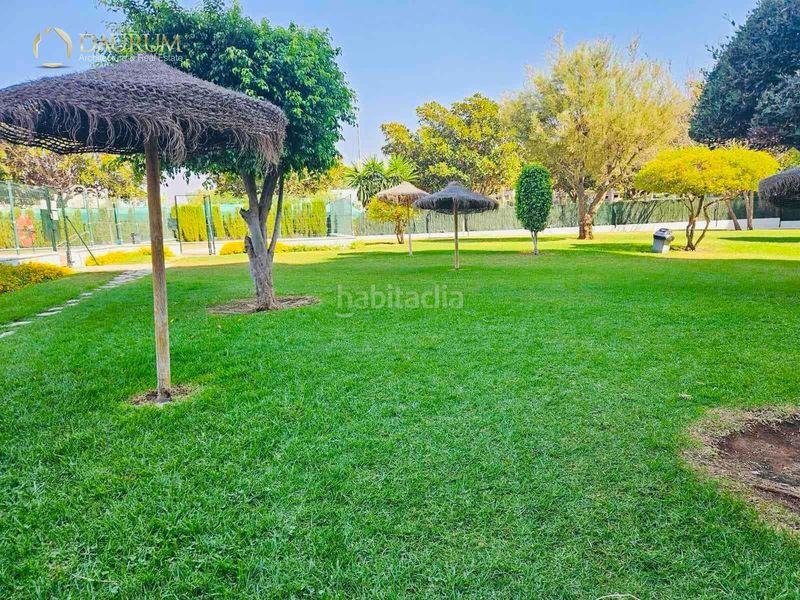 Foto 58500742-e1d8-4bed-b041-3adefde3b432. Pis amb calefacció aparcament piscina a El Consul - Ciudad Universitaria - El Romeral Málaga