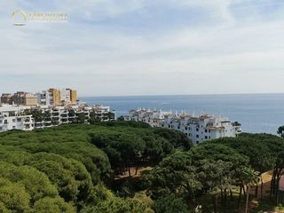 Piso  Algaida. Magnífico estudio en sitio de calahonda con vistas al mar y lice