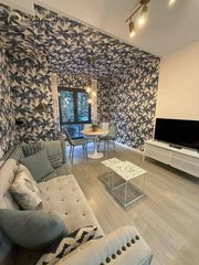 Pis  Ferrandiz. Estupendo piso de 1 habitación en málaga  centro