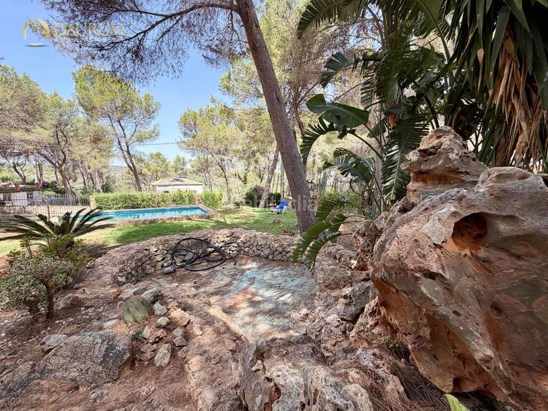 Foto 3e6d63a6-d9ca-43e0-adf1-b4f13f3d0af6. Xalet amb aparcament piscina a Alberic