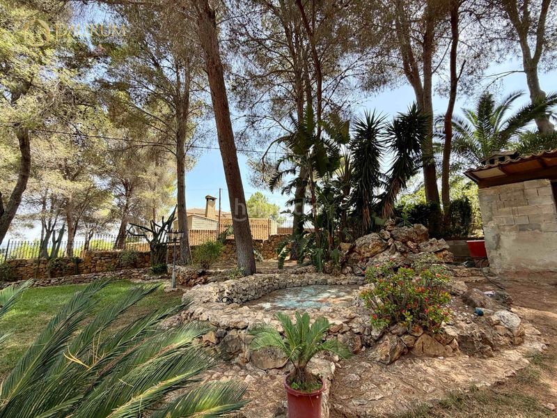 Foto f974b8c9-e40f-4df5-9daf-a70651e010da. Xalet amb aparcament piscina a Alberic