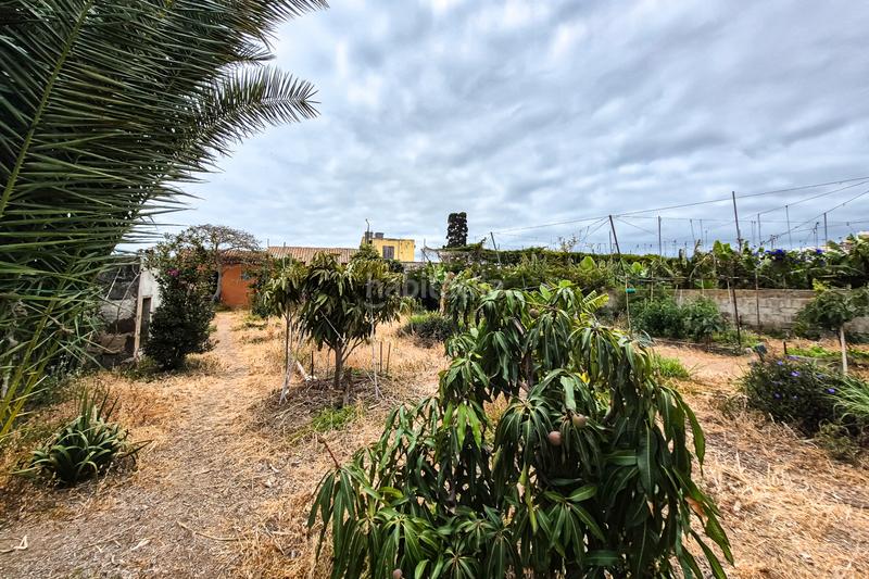 Foto c28bdacf-dec3-4767-a0cb-28a838bc1f6d. Mas avec parking dans Cardones Arucas