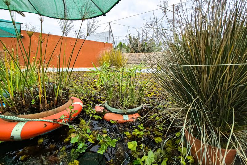 Foto d3c1deb7-4f3d-4d7c-8606-20a24be0bb28. Mas avec parking dans Cardones Arucas