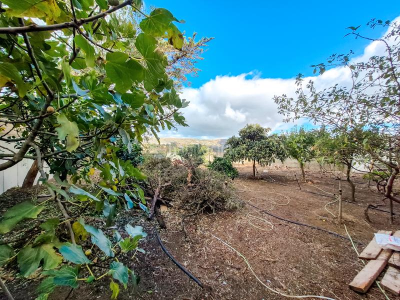 Foto 3799376f-81c9-4194-8cd0-b6d0f48d351d. Xalet amb aparcament a Los Alvarados - Fuente los Berros - Bandama Santa Brígida