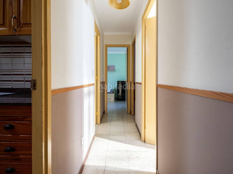 Foto c496bc59-03ee-44a0-92f1-3812e3d4252e. Pis a Jinamar Telde