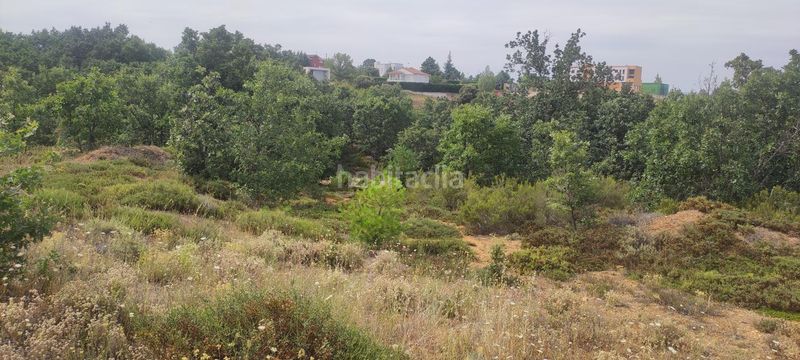 Foto 4bd451b6-f08f-42c7-80dc-328424c3064d. Terreny residencial a Garrafe de Torío
