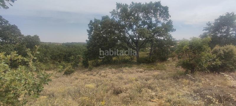 Foto cd2315fc-c265-463d-8d92-0e4a0a612c73. Terreno residencial en Garrafe de Torío