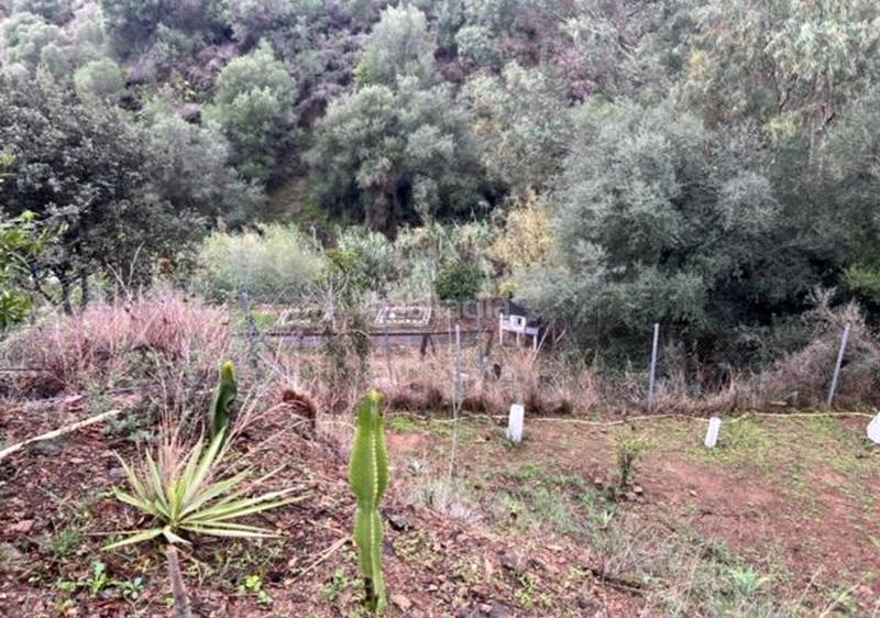 Foto 5ed0f08a-f424-4eaa-9f06-3ae1bf300e11. Xalet amb calefacció aparcament piscina a Mijas pueblo Mijas
