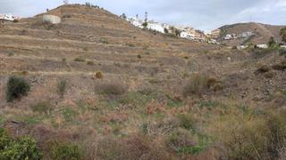 Terreno residenziale in El Peñoncillo. Solar en venta en costa  el peñoncillo.