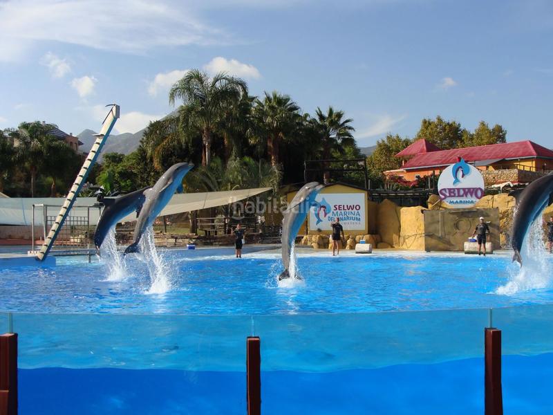 Foto 551a6127-4af1-46ce-a8d4-853fb5bca2c9. Apartament amb calefacció aparcament piscina a Nueva Torrequebrada Benalmádena