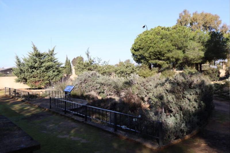 Foto 21c9d715-2fa4-4ec9-a57d-5568e093ad7c. Piso  en venta en avda. pery junquera al andalus, 3 dormitorios. en San Fernando