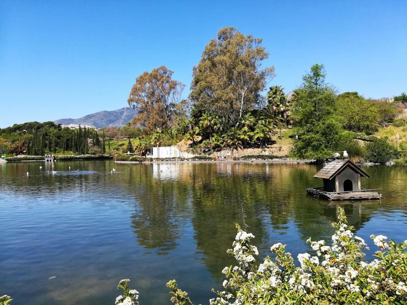 Foto af09bd52-6383-4dab-afde-e4dd999fd588. Pis amb calefacció aparcament piscina a Zona Centro Comercial Torrequebrada Benalmádena