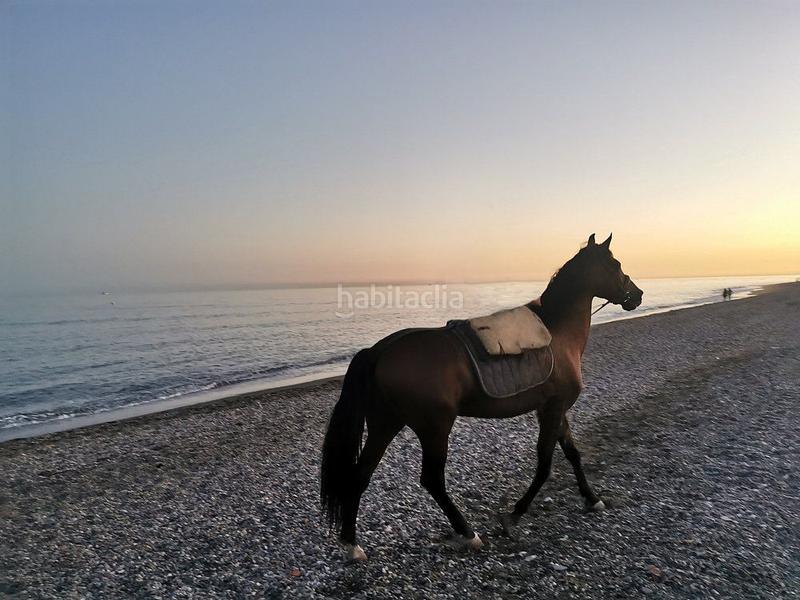 Foto 75e10eb1-eef8-4bbf-b1c8-d99e836ee04b. Terreno residencial solar en venta en almayate. en Almayate Bajo