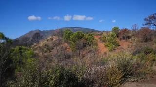 Terreny residencial a Altos de Estepona. Solar en venta en forest hills.