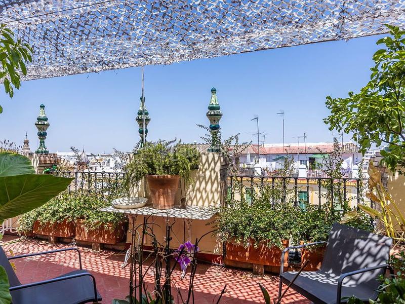 Foto 2fbecfe8-1ebc-4a8d-9eab-9edd969fd031. Dachwohnung mit heizung in Alfalfa - Santa Cruz Sevilla