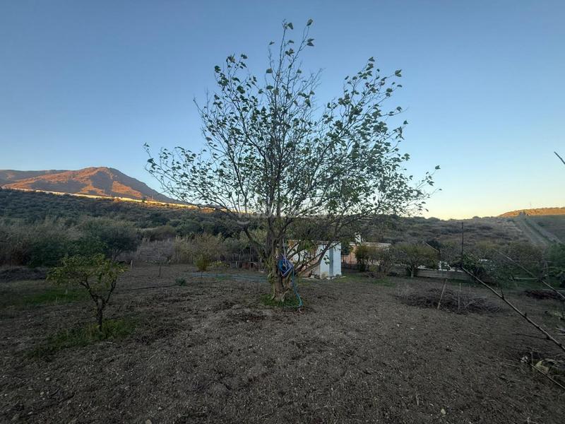 Foto 2d073c28-c268-46ac-9516-4346b23ea70e. Casa con riscaldamento in Valle Romano Golf Estepona