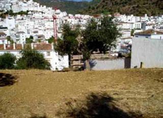 Wohngrundstück in Tolox