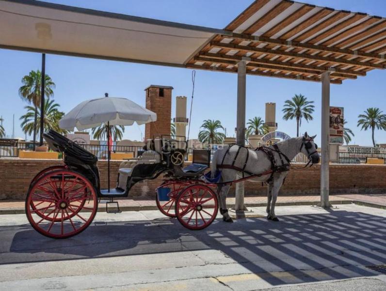 Foto 895e0113-a0cb-4dd7-9511-69b710c8ac38. Apartament amb calefacció aparcament piscina a Las Flores Mijas