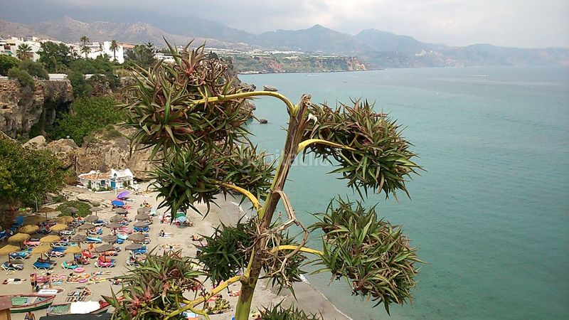 Foto 28905c10-d77e-4607-a1a1-9f91136903da. Casa adossada amb calefacció aparcament a Avda Pescia - Ctra de Frigiliana Nerja