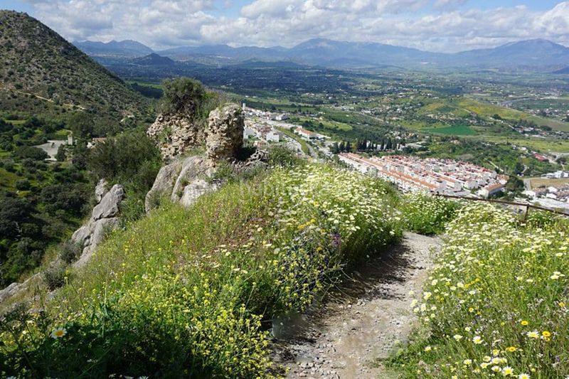 Foto d1d4e5d4-1926-4447-90e5-ad7187636f52. Casa amb calefacció aparcament a Cártama pueblo Cártama