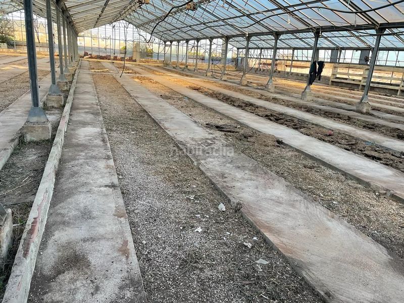 Foto a518ae4c-647d-492c-9cbc-2656dabb55b2. Capannone industriale in cv-50 482 in Catadau