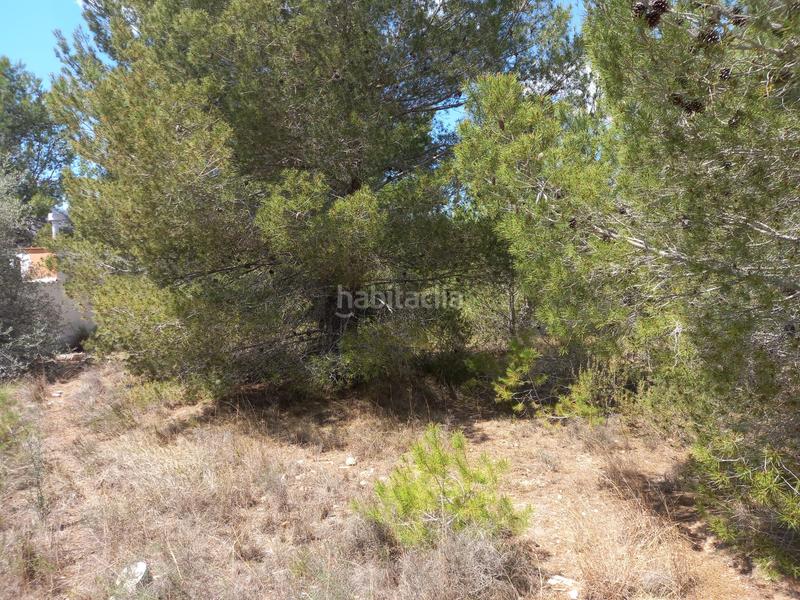 Foto 71dbf706-85b3-480c-977f-e5b0a7a9c6f7. Chalet in carrer muntanya 18 in Montroy