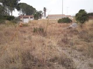 Finca rústica a Plaça poligono 20 39b