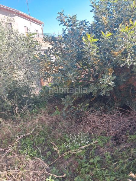 Foto 514ccf9d-a361-498f-91f5-8ab1e40e7e47. Terreno residenziale in carrer de severo ochoa 24 in Sumacàrcer