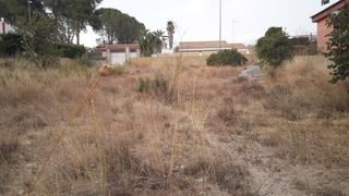 Terreno residencial  Carrer vila de montroy