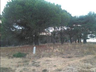 Finca r�stica en Real de Montroi