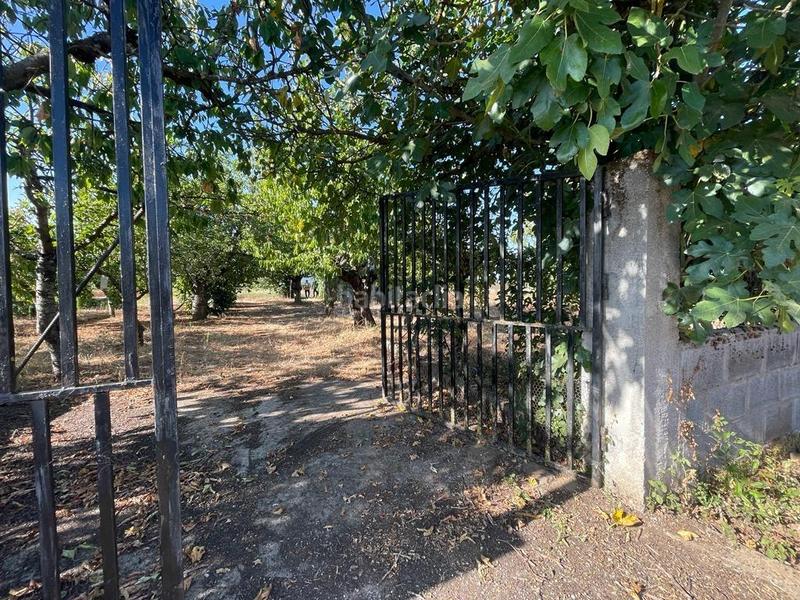 Foto 4812531d-ac3a-41f9-8653-604389e185ab. Finca rústica se vende parcela con caseta en Camponaraya