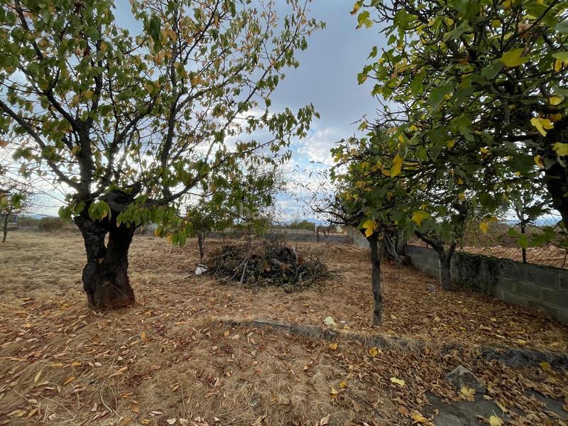 Foto 4d4782ef-f964-4717-8bf3-5eb4f6ac4580. Finca rústica se vende parcela con caseta en Camponaraya