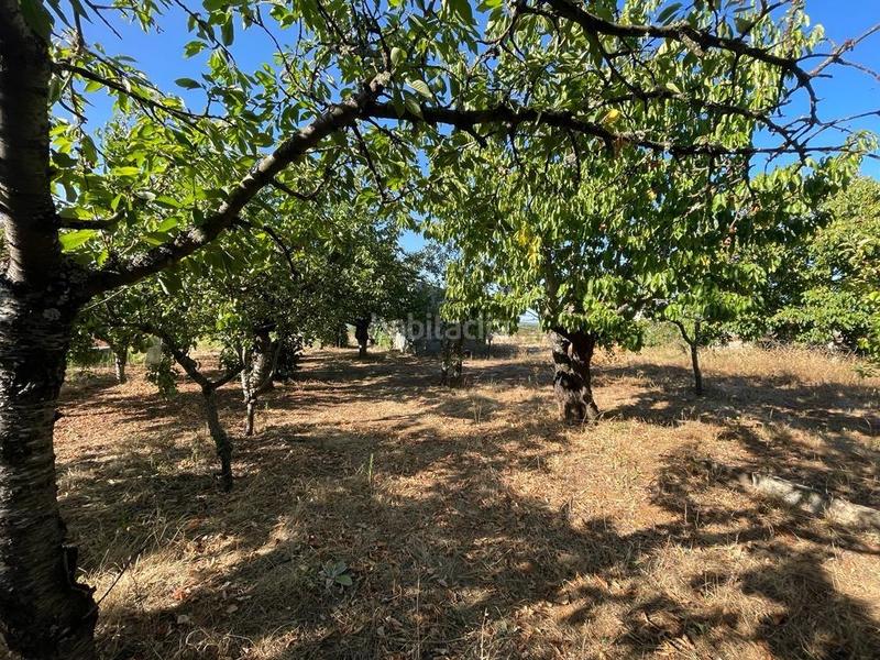 Foto 93e74122-6184-47a0-b3e6-54a7d418eb79. Finca rústica se vende parcela con caseta en Camponaraya
