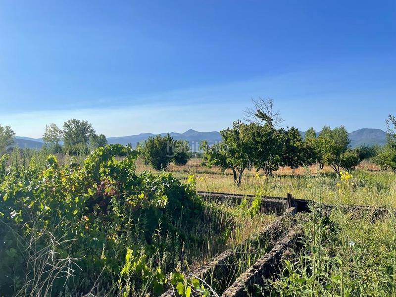 Foto 987449e7-d715-458c-8a17-5bb759c8610d. Finca rústica se vende parcela con caseta en Camponaraya