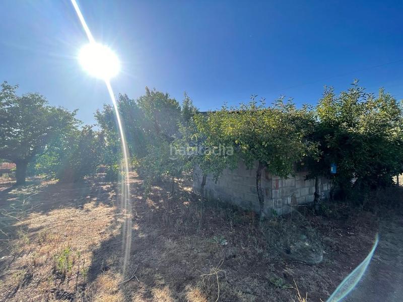Foto f33d64b3-eebd-44c5-8124-d3dd565aef1d. Finca rústica se vende parcela con caseta en Camponaraya