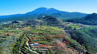 Wohngrundstück in Tanque (El). Venta de finca agrícola de 11.233 m2 en el tanque.