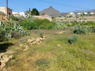 Finca rústica a Arona Pueblo. Magnífico terreno de 1.854 m2 en el tranquilo barrio de vento, a