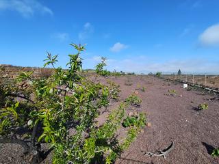 Propriété à Vilaflor. Espectacular finca ubicada en la zona conocida como los calvarit