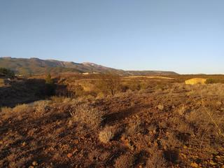 Propriété à Vilaflor. Terreno en vilaflor de 16.805 m2, con posibilidad de hacer edifi