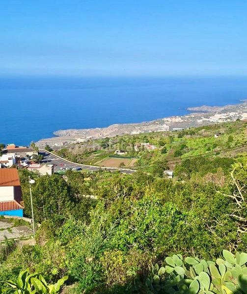 Foto 10310dd6-d408-4688-8f2d-f120c64e3c54. Bauernhof in La Vega - El Amparo - Cueva del Viento Icod de los Vinos