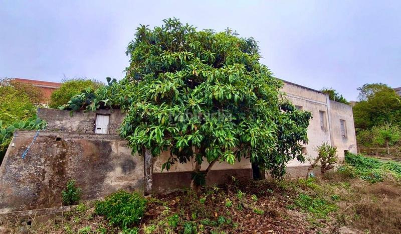 Foto 3f244a65-41f2-4d5b-90c2-b45dbab0625a. Bauernhof in La Vega - El Amparo - Cueva del Viento Icod de los Vinos