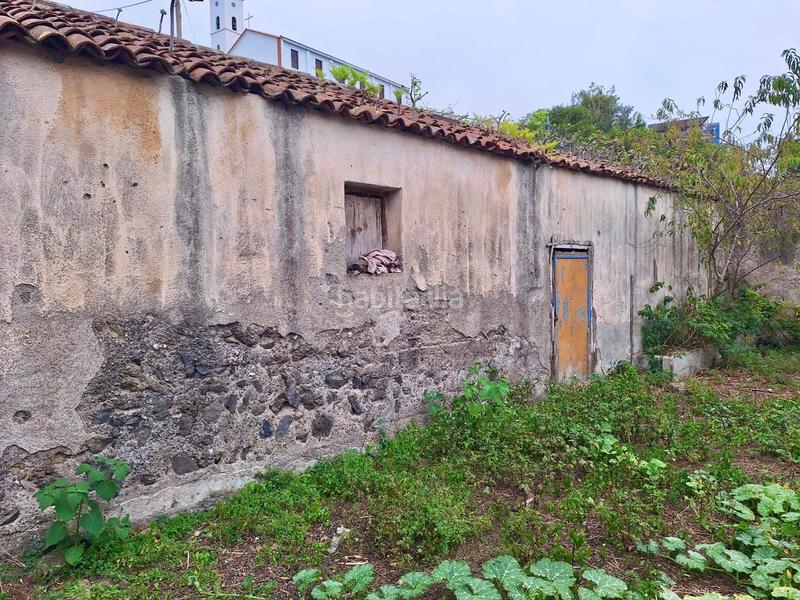 Foto d1466ae7-0fd4-4c4e-ba55-ef34d2849432. Bauernhof in La Vega - El Amparo - Cueva del Viento Icod de los Vinos